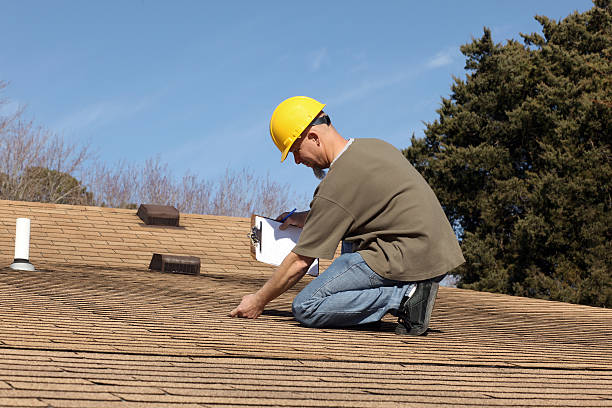 Best Roof Moss and Algae Removal  in Jackson, OH